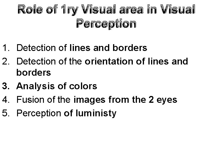 Role of 1 ry Visual area in Visual Perception 1. Detection of lines and
