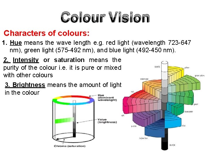 Colour Vision Characters of colours: 1. Hue means the wave length e. g. red