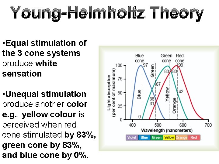 Young-Helmholtz Theory • Equal stimulation of the 3 cone systems produce white sensation •
