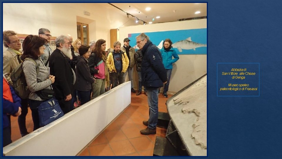 Abbazia di San Vittore alle Chiuse di Genga Museo speleo paleontologico di Frasassi 