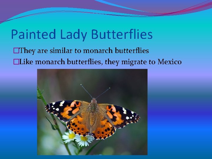 GPS in DNA Purpose Question Do butterflies born