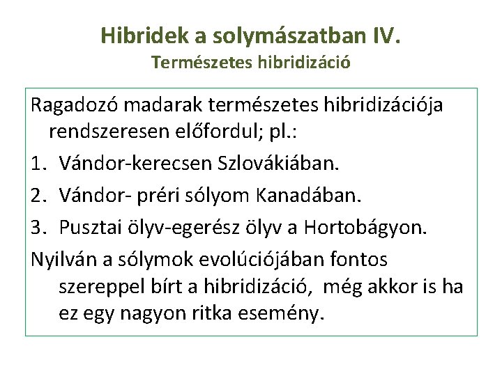 Hibridek a solymászatban IV. Természetes hibridizáció Ragadozó madarak természetes hibridizációja rendszeresen előfordul; pl. :