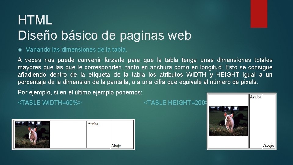 HTML Diseño básico de paginas web Variando las dimensiones de la tabla. A veces