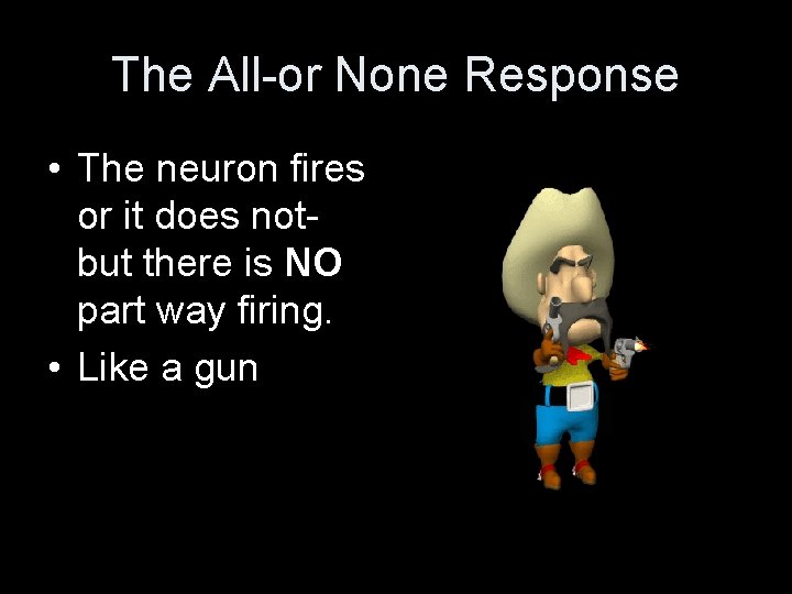 The All-or None Response • The neuron fires or it does notbut there is