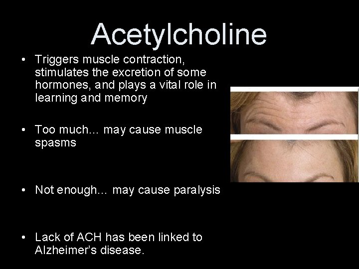 Acetylcholine • Triggers muscle contraction, stimulates the excretion of some hormones, and plays a