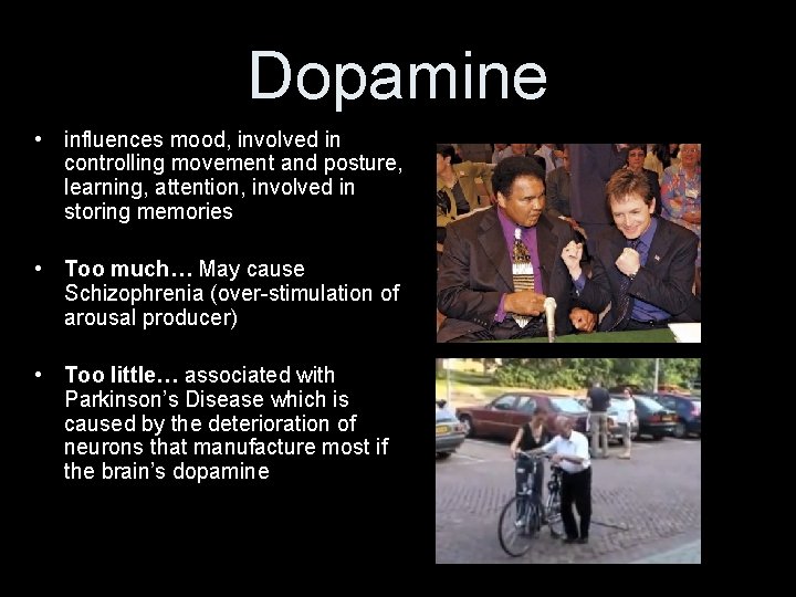 Dopamine • influences mood, involved in controlling movement and posture, learning, attention, involved in