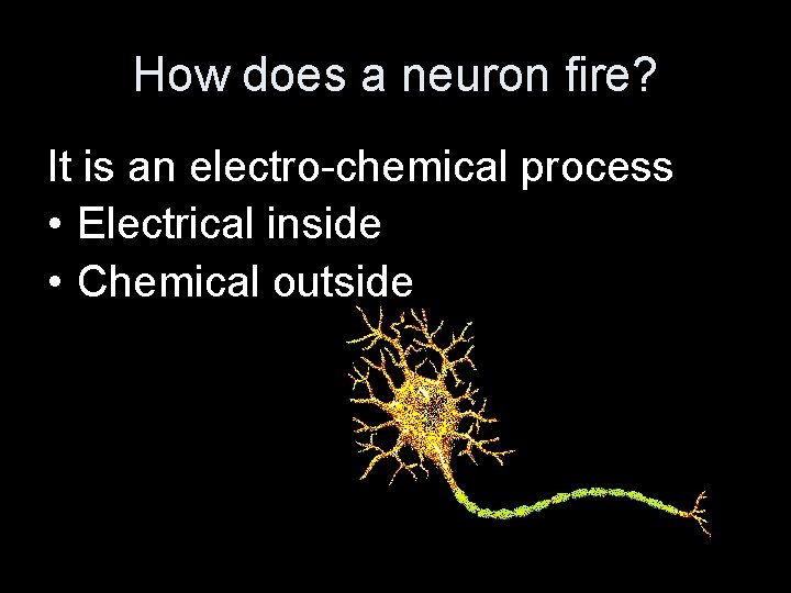 How does a neuron fire? It is an electro-chemical process • Electrical inside •