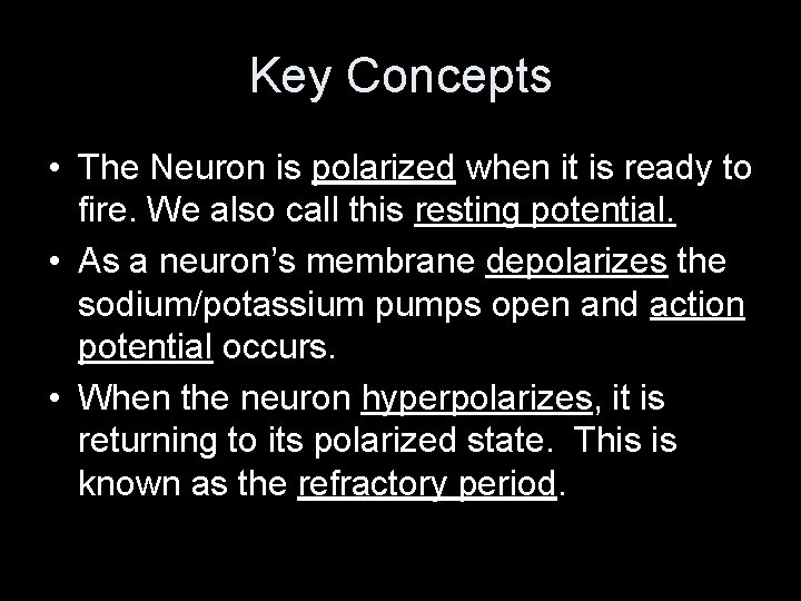 Key Concepts • The Neuron is polarized when it is ready to fire. We