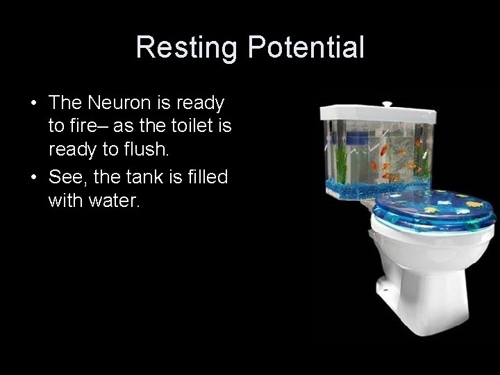 Resting Potential • The Neuron is ready to fire– as the toilet is ready