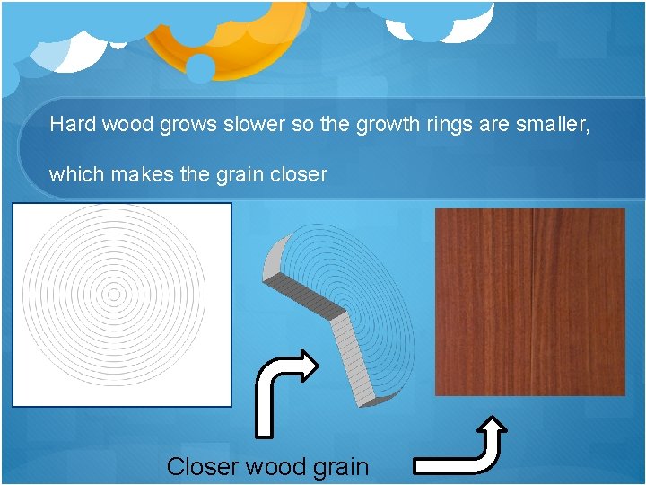 Hard wood grows slower so the growth rings are smaller, which makes the grain