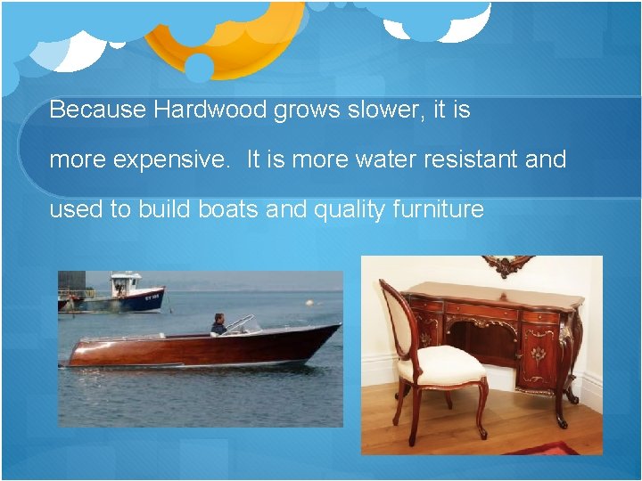 Because Hardwood grows slower, it is more expensive. It is more water resistant and