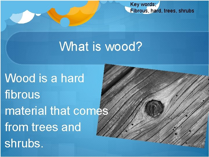 Key words; Fibrous, hard, trees, shrubs What is wood? Wood is a hard fibrous