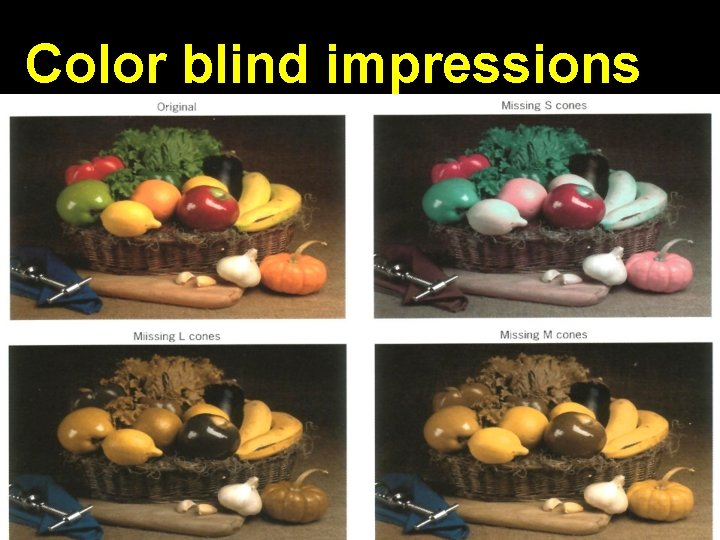 Color blind impressions 