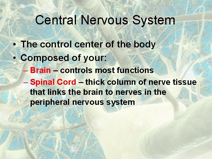 Central Nervous System • The control center of the body • Composed of your: