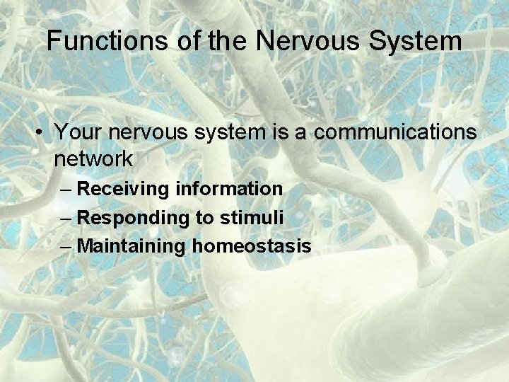 Functions of the Nervous System • Your nervous system is a communications network –