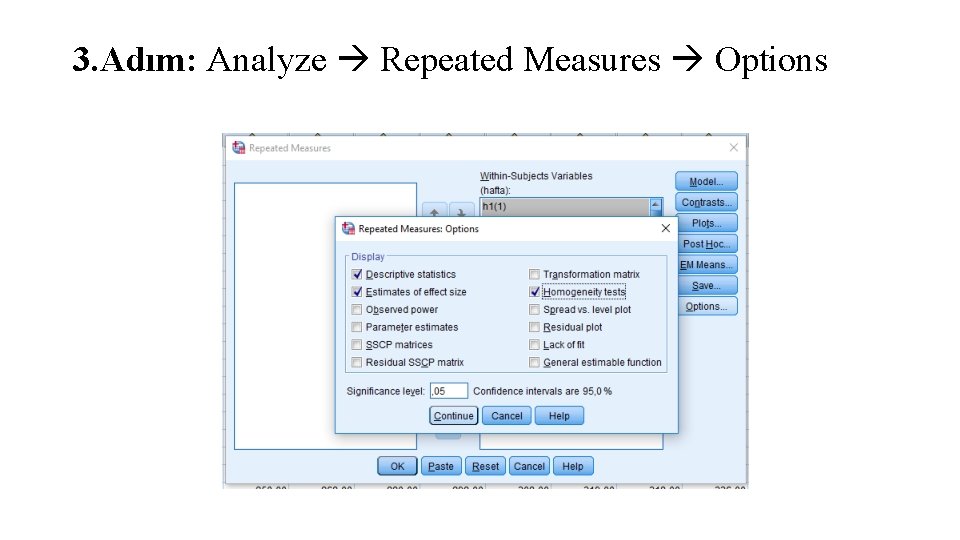 3. Adım: Analyze Repeated Measures Options 
