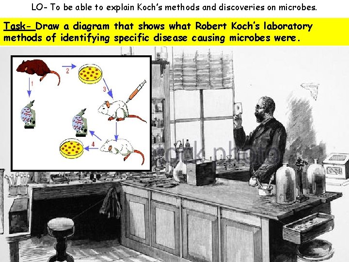 LO- To be able to explain Koch’s methods and discoveries on microbes. Task- Draw