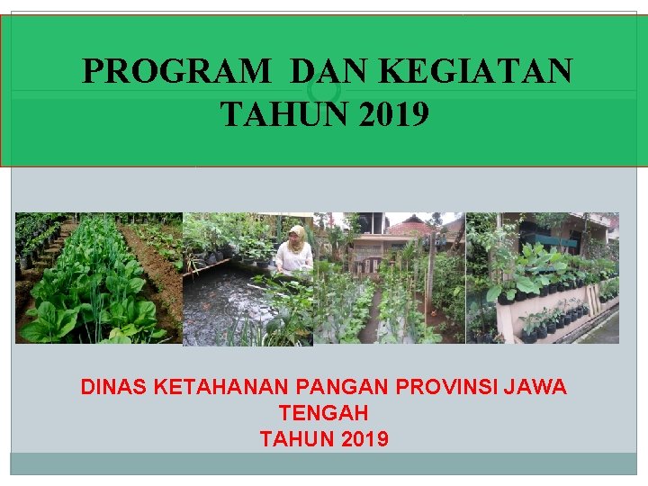 PROGRAM DAN KEGIATAN TAHUN 2019 DINAS KETAHANAN PANGAN PROVINSI JAWA TENGAH TAHUN 2019 