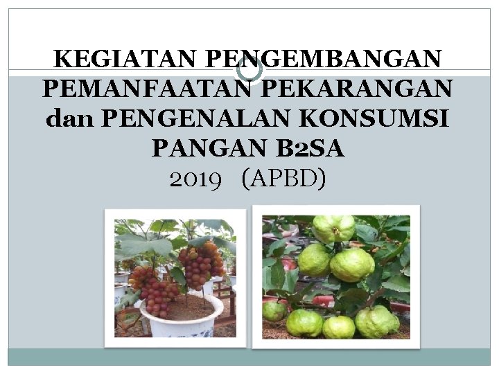 KEGIATAN PENGEMBANGAN PEMANFAATAN PEKARANGAN dan PENGENALAN KONSUMSI PANGAN B 2 SA 2019 (APBD) 