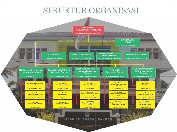 STRUKTUR ORGANISASI 