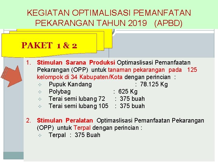 Lanjutan… KEGIATAN OPTIMALISASI PEMANFATAN PEKARANGAN TAHUN 2019 (APBD) PAKET 1 & 2 1. Stimulan