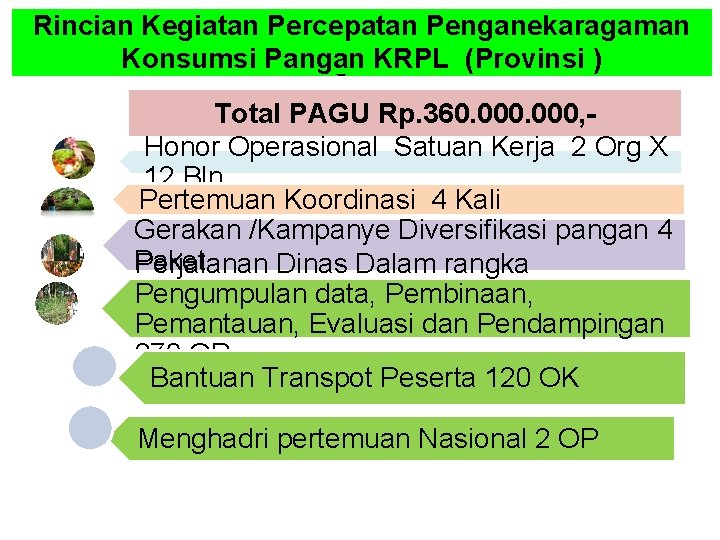 Rincian Kegiatan Percepatan Penganekaragaman Konsumsi. Pangan. KRPL(Provinsi ) Total PAGU Rp. 360. 000, Honor