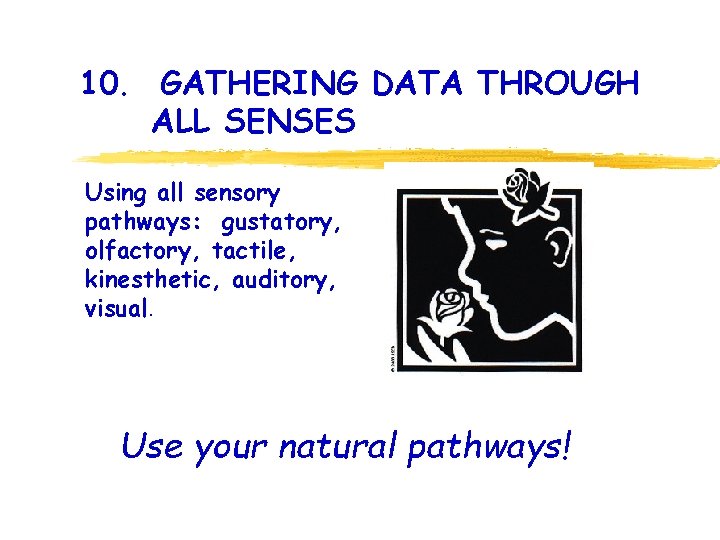 10. GATHERING DATA THROUGH ALL SENSES Using all sensory pathways: gustatory, olfactory, tactile, kinesthetic,