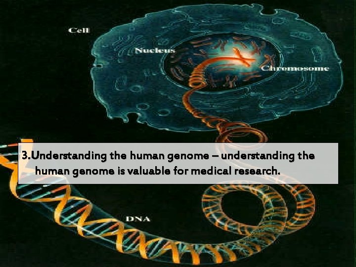 3. Understanding the human genome – understanding the human genome is valuable for medical