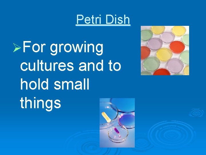 Petri Dish ØFor growing cultures and to hold small things 