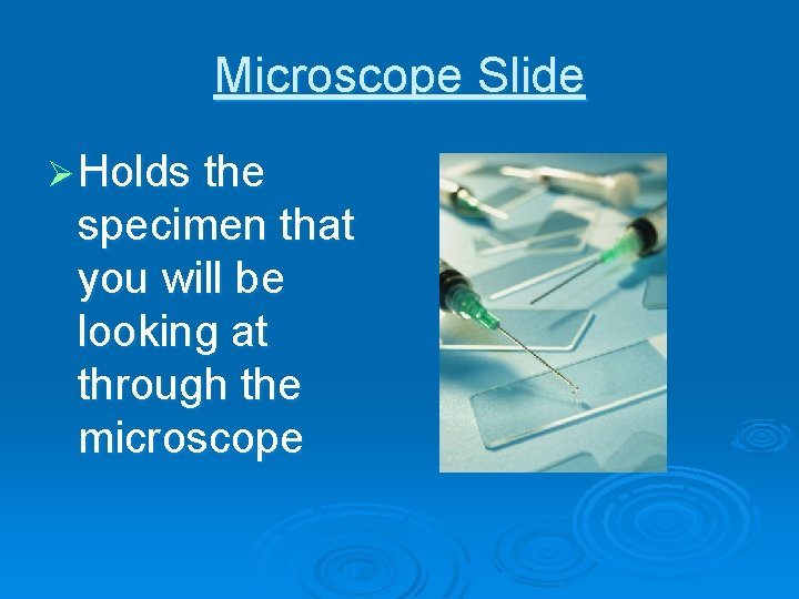 Microscope Slide Ø Holds the specimen that you will be looking at through the