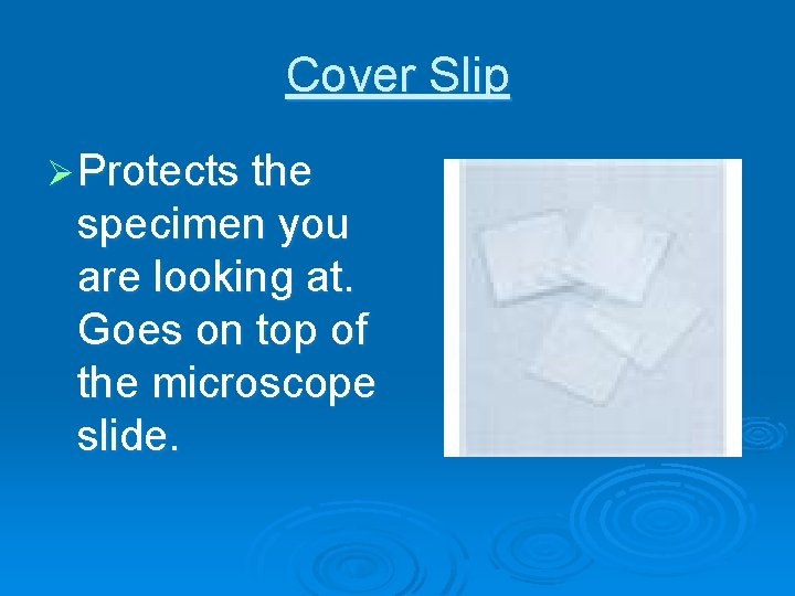 Cover Slip Ø Protects the specimen you are looking at. Goes on top of