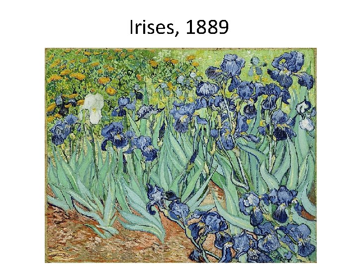 Irises, 1889 