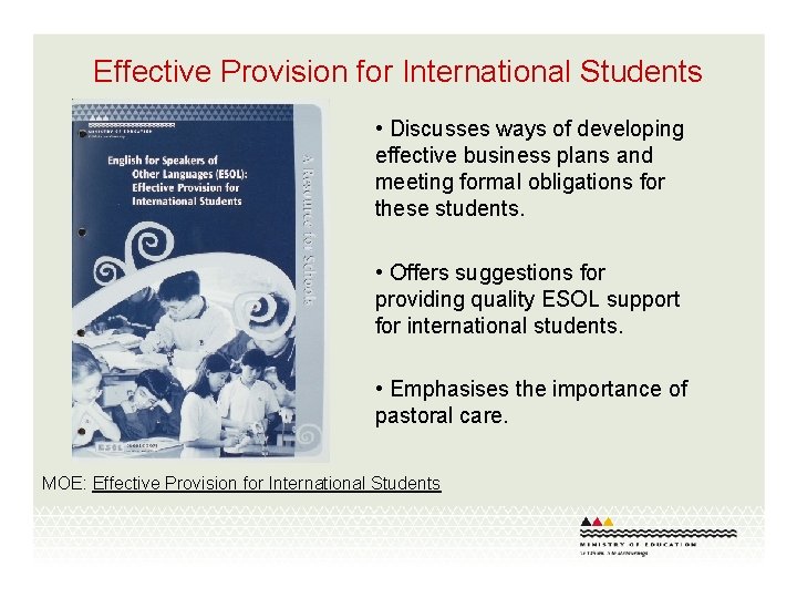 Effective Provision for International Students • Discusses ways of developing effective business plans and