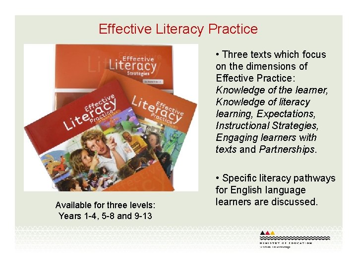 Effective Literacy Practice • Three texts which focus on the dimensions of Effective Practice: