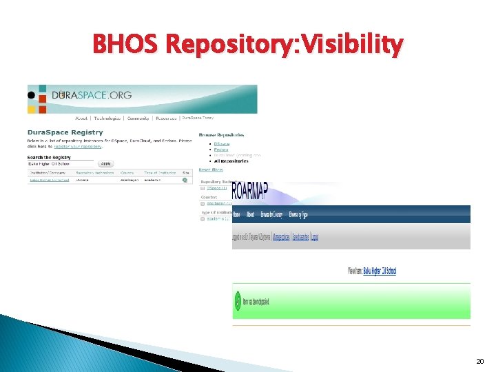 BHOS Repository: Visibility 20 