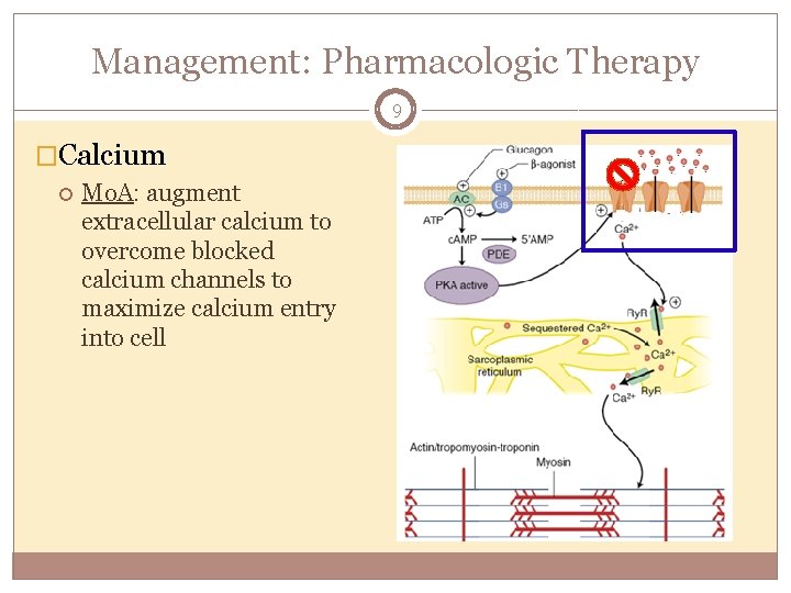 Management: Pharmacologic Therapy 9 �Calcium Mo. A: augment extracellular calcium to overcome blocked calcium