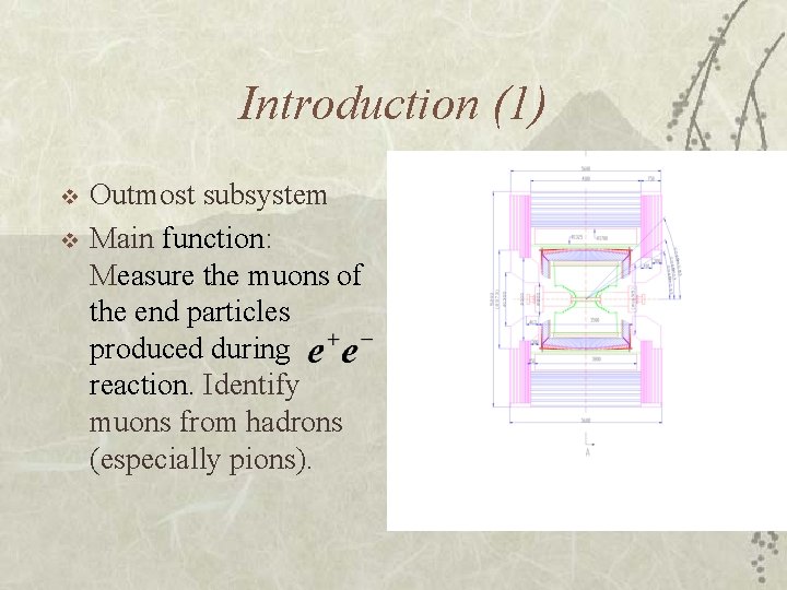 Introduction (1) v v Outmost subsystem Main function: Measure the muons of the end