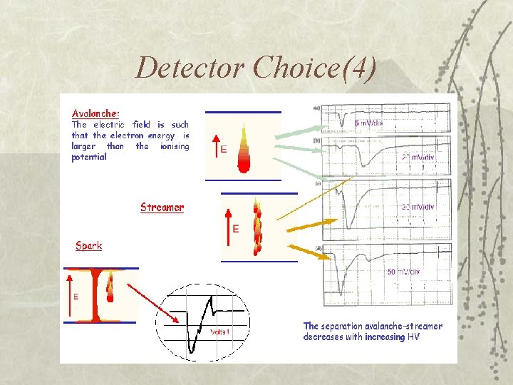 Detector Choice(4) 