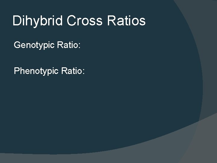 Dihybrid Cross Ratios Genotypic Ratio: Phenotypic Ratio: 