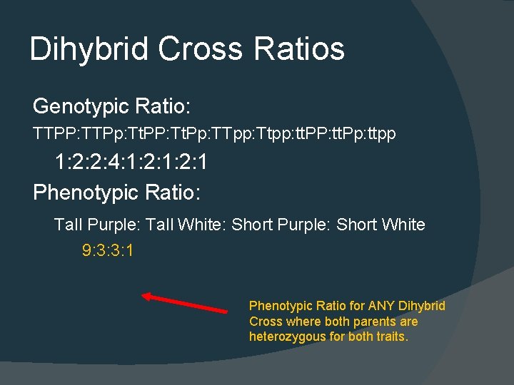 Dihybrid Cross Ratios Genotypic Ratio: TTPP: TTPp: Tt. PP: Tt. Pp: TTpp: Ttpp: tt.