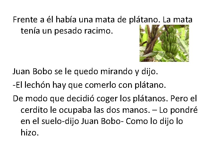 Frente a él había una mata de plátano. La mata tenía un pesado racimo.