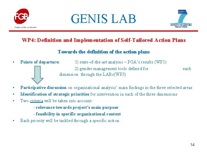 GENIS LAB WP 4: Definition and Implementation of Self-Tailored Action Plans Towards the definition