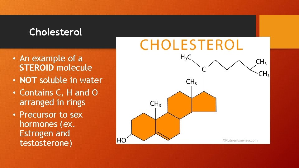 Cholesterol • An example of a STEROID molecule • NOT soluble in water •