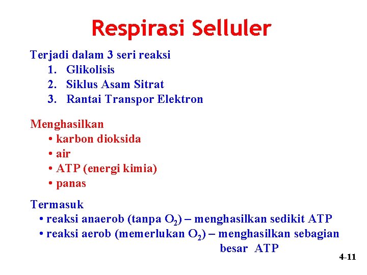 Respirasi Selluler Terjadi dalam 3 seri reaksi 1. Glikolisis 2. Siklus Asam Sitrat 3.