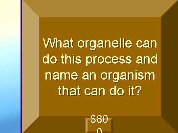 What organelle can do this process and name an organism that can do it?