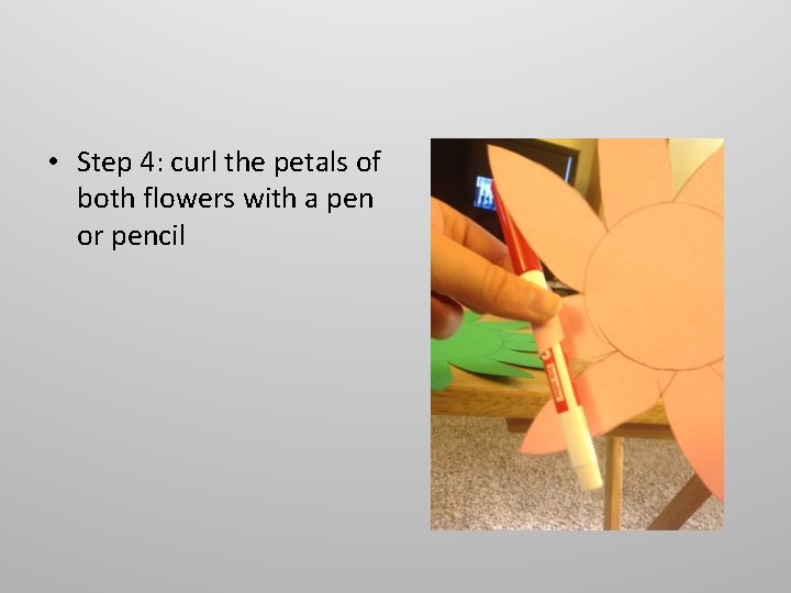  • Step 4: curl the petals of both flowers with a pen or