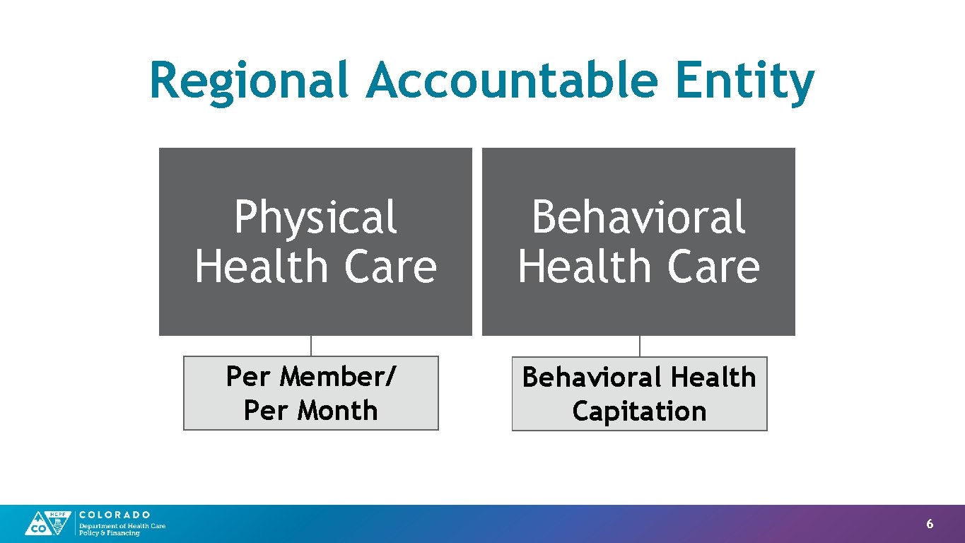 Regional Accountable Entity Physical Health Care Behavioral Health Care Per Member/ Per Month Behavioral
