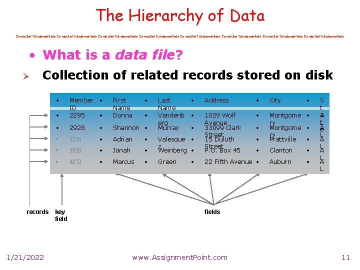 The Hierarchy of Data Computer fundamentals Computer fundamentals • What is a data file?