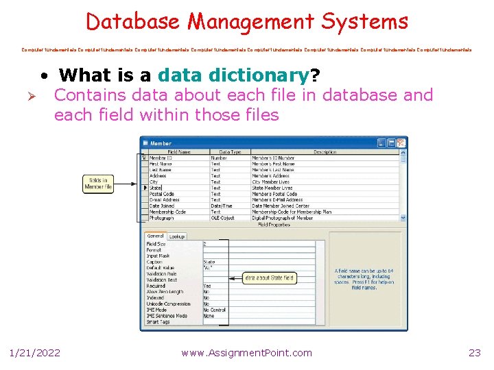 Database Management Systems Computer fundamentals Computer fundamentals • What is a data dictionary? Ø