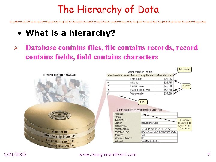 The Hierarchy of Data Computer fundamentals Computer fundamentals • What is a hierarchy? Ø